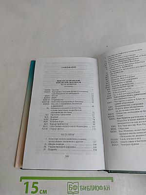 Виконт де Бражелон, или Десять лет спустя. Том восьмой