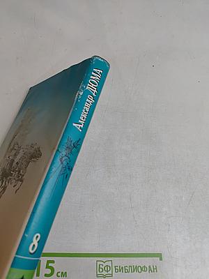 Виконт де Бражелон, или Десять лет спустя. Том восьмой