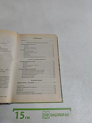 Ваш красивый сад