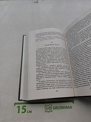 Граф Монте-Кристо. Том 16