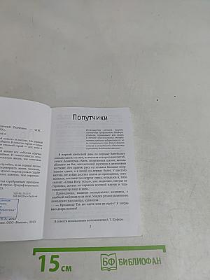 Попутчики