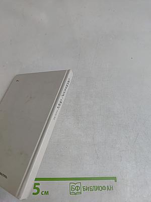 Мир Леонардо. Книга 2