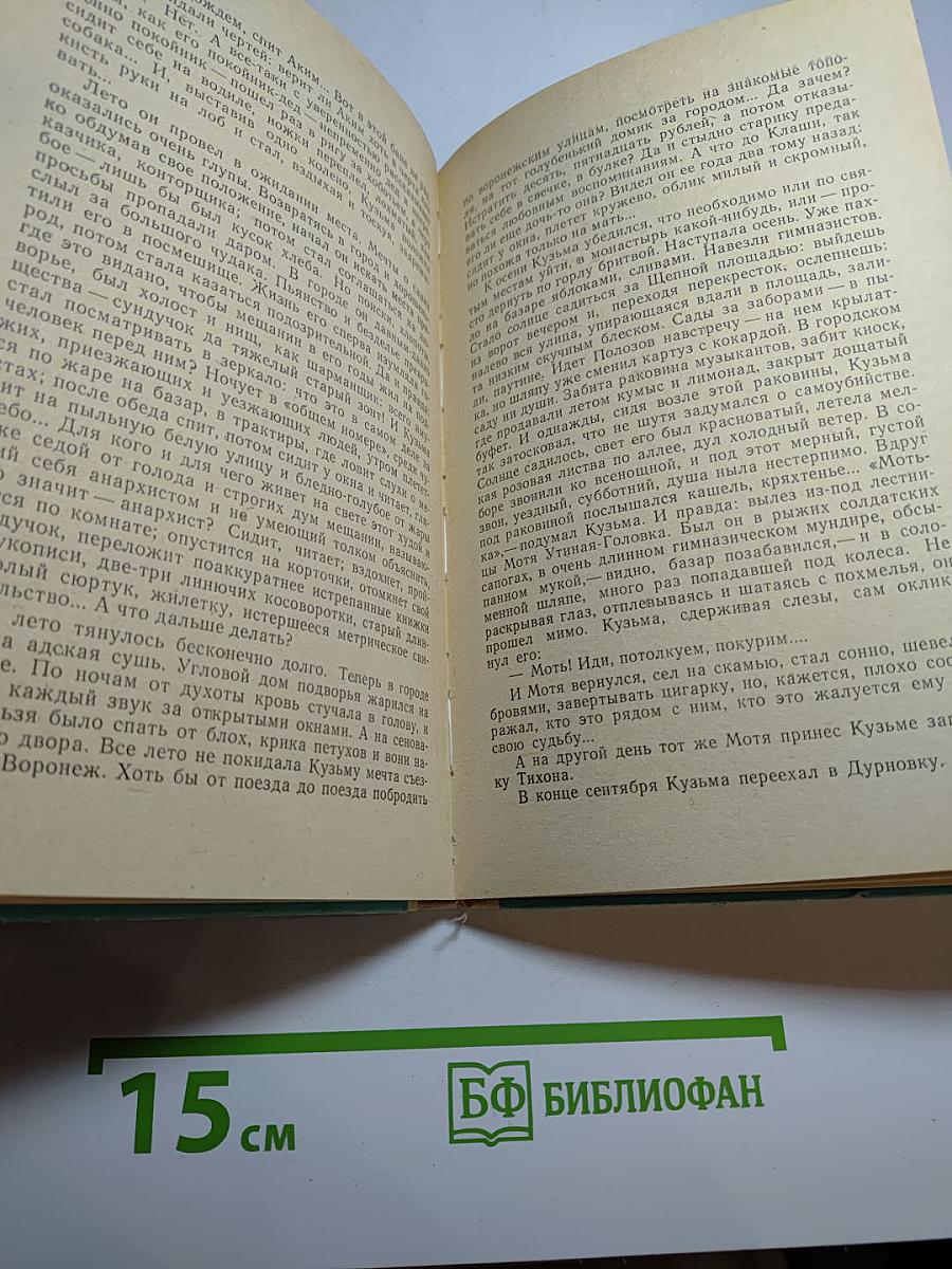 Деревня. Митина любовь. Повести