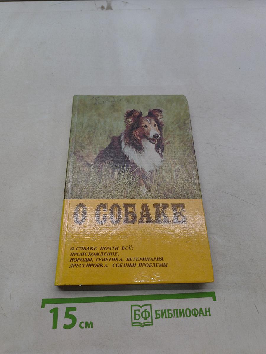 О собаке