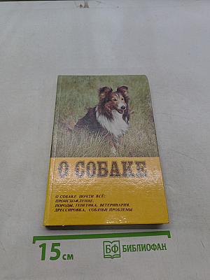 О собаке
