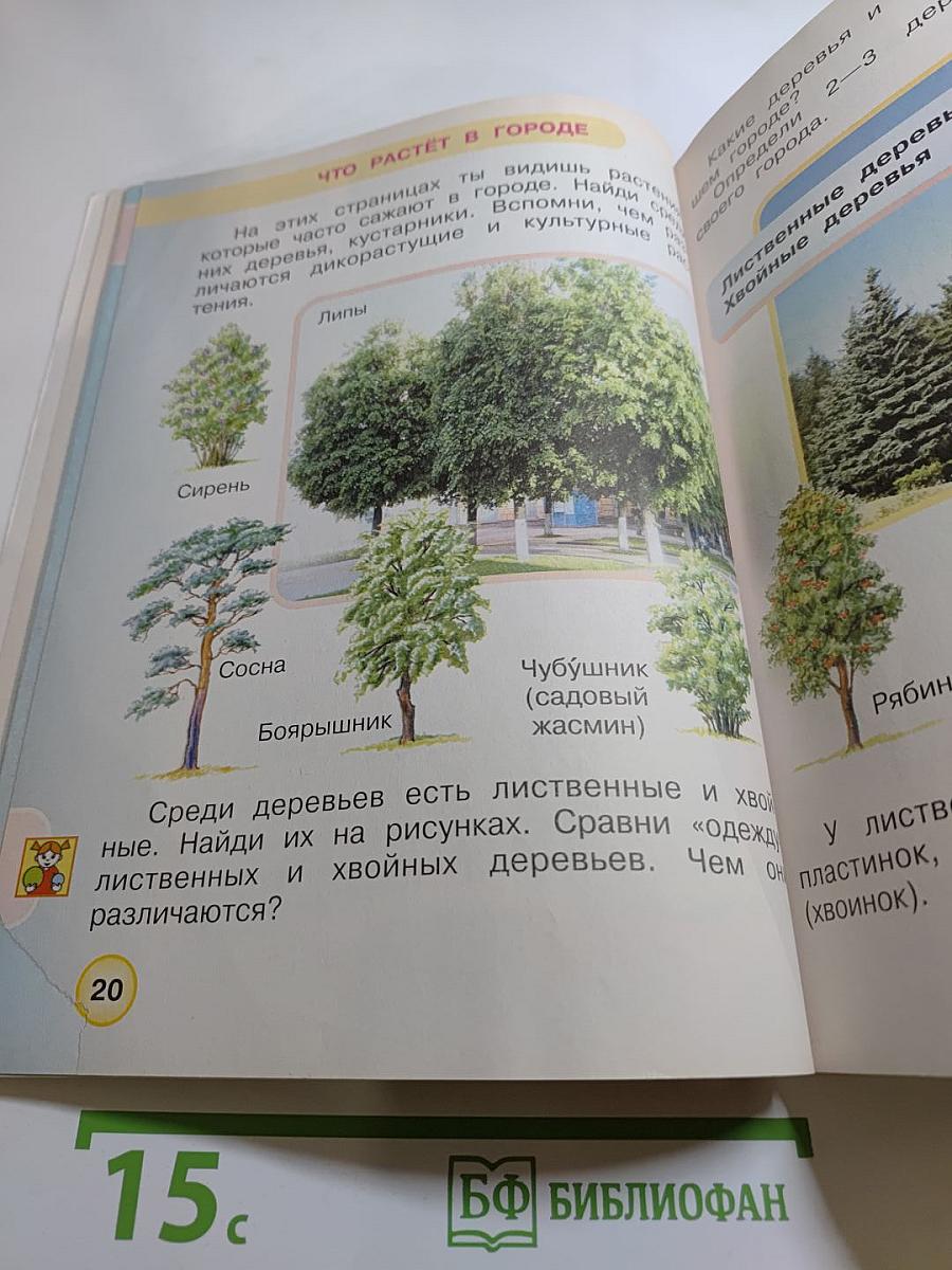 Окружающий мир, 1 класс, Часть вторая