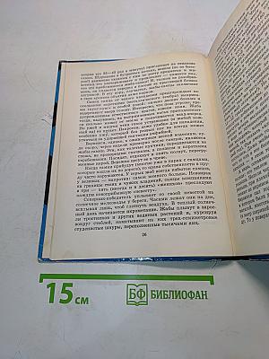 С вечера до утра