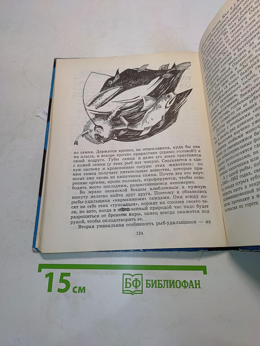С вечера до утра