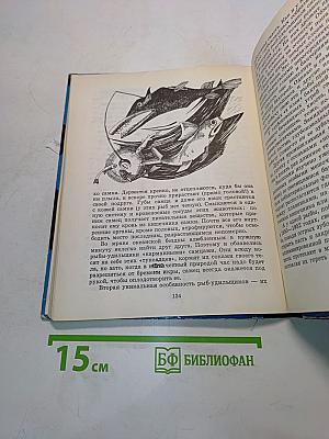 С вечера до утра