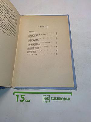 Весёлая дорога