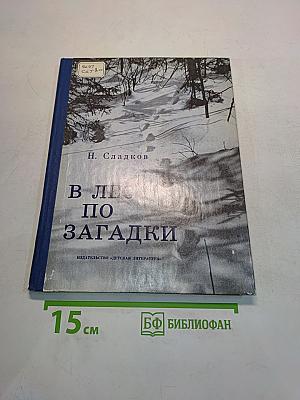В лес по загадки