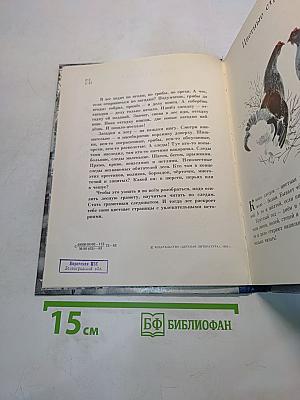 В лес по загадки