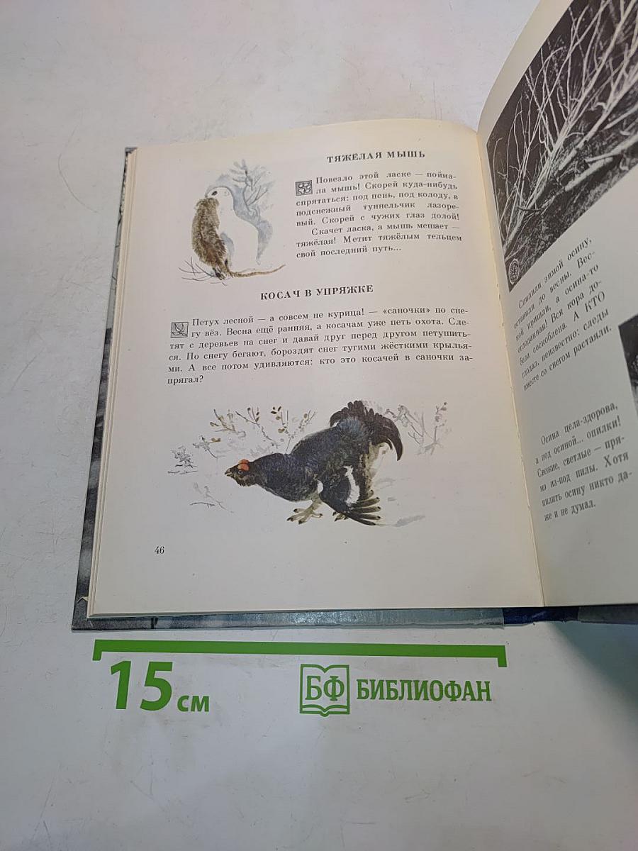 В лес по загадки