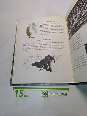 В лес по загадки