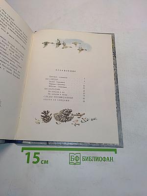 В лес по загадки