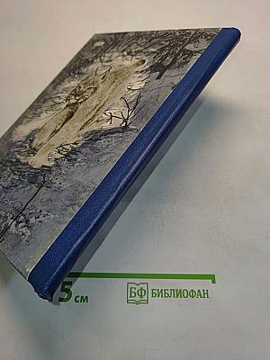В лес по загадки