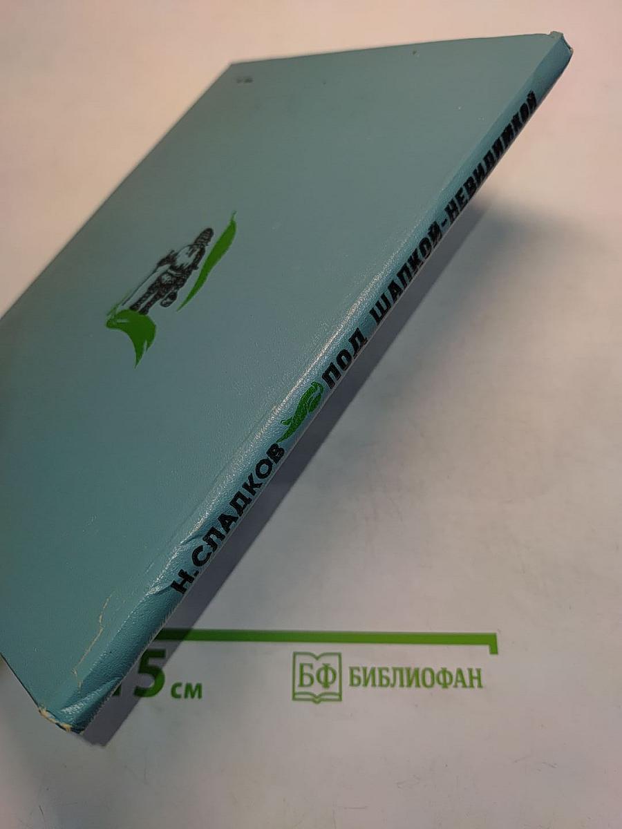 Под шапкой-невидимкой