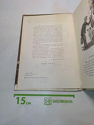 Самый красивый конь
