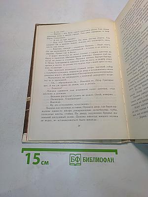 Самый красивый конь