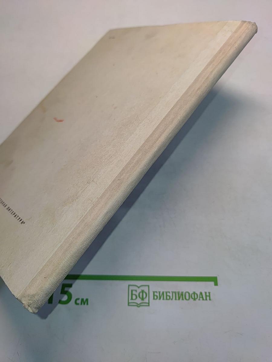 Самый красивый конь
