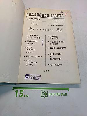 Подводная газета