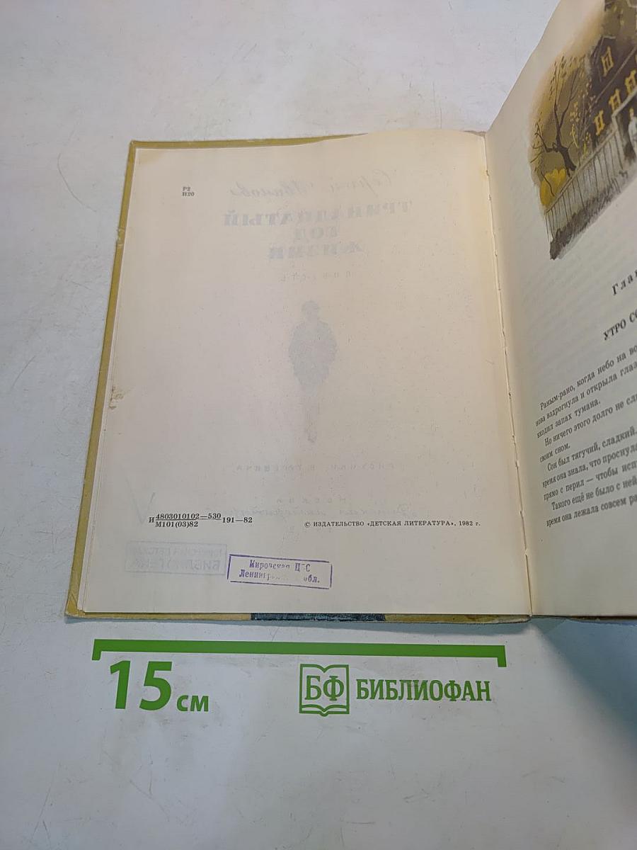 Тринадцатый год жизни