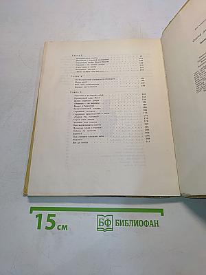 Тринадцатый год жизни
