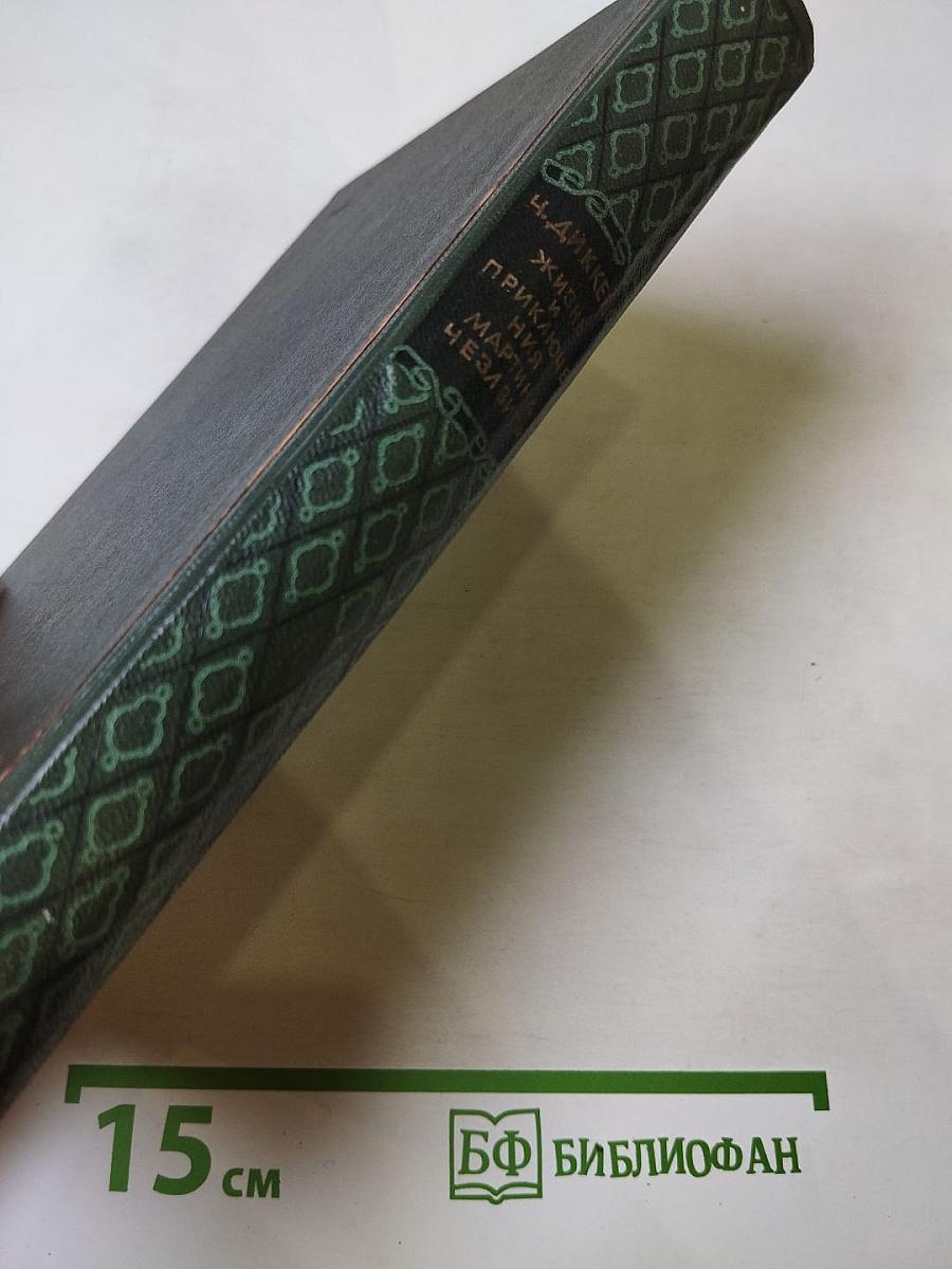 Жизнь и приключения Мартина Чезлвита. Том 1