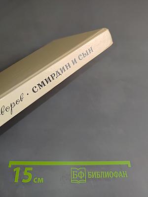 Смирин и сын
