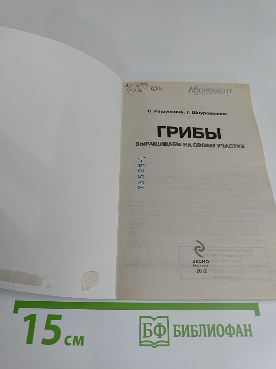 Грибы. Выращиваем на своем участке