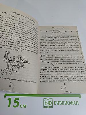 Грибы. Выращиваем на своем участке