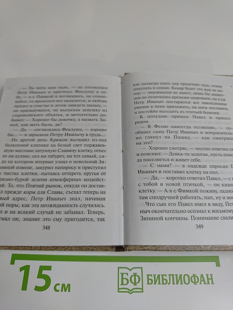 Крюк Петра Иваныча