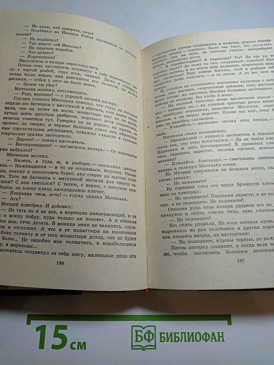 Россия молодая. Книга первая