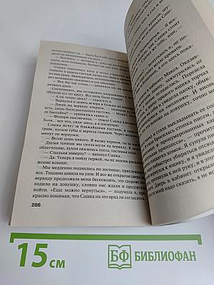 Сжигая за собой мосты