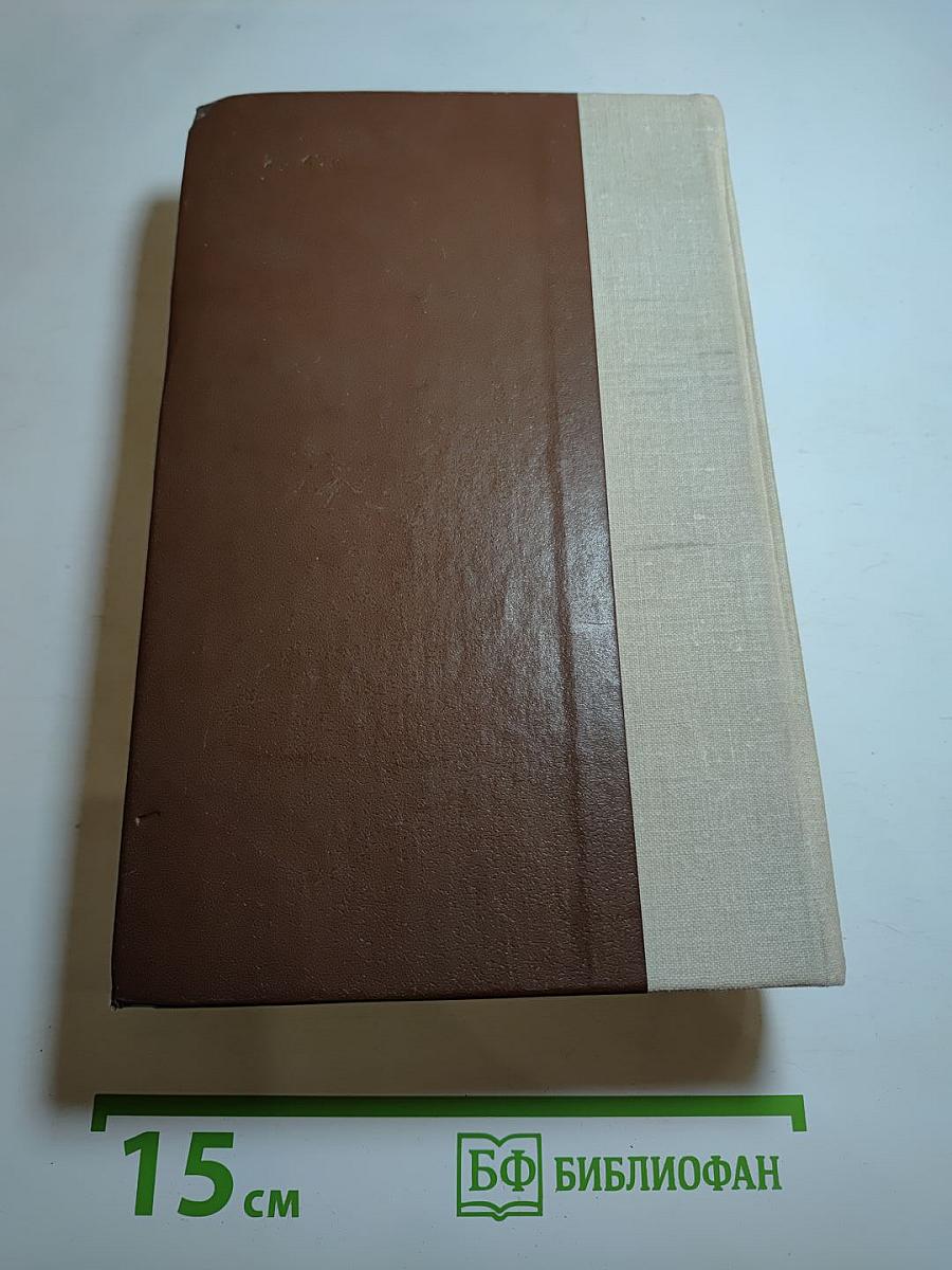 Россия молодая. Книга первая