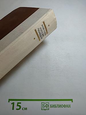 Россия молодая. Книга первая