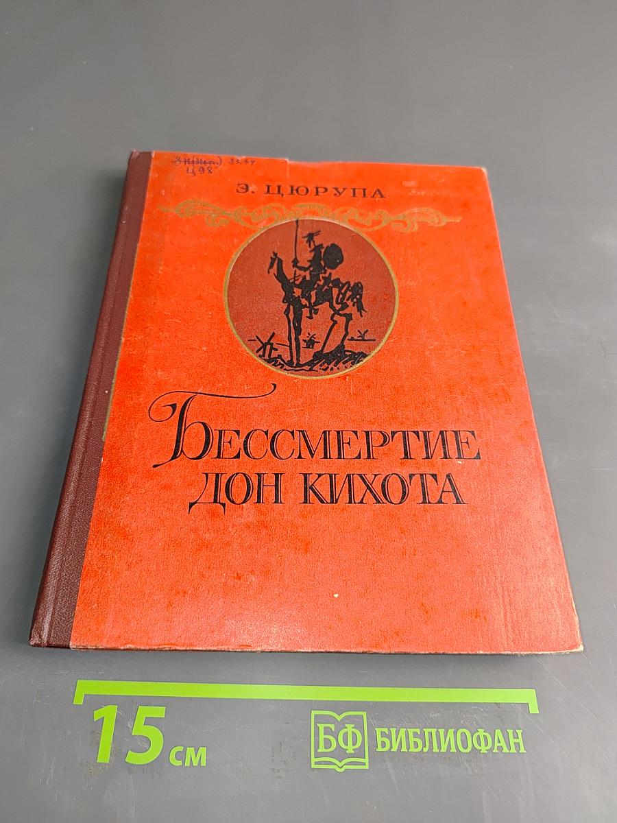 Бессмертие Дон Кихота