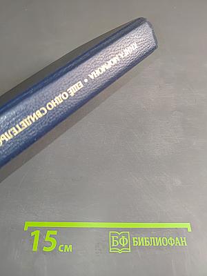 Книга Мормона: Еще одно свидетельство об Иисусе Христе
