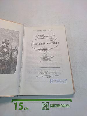 Евгений Онегин