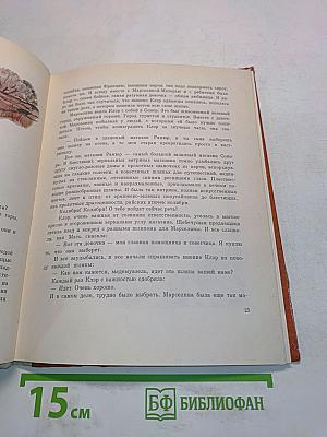 Птица колибри