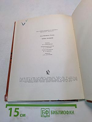 Птица колибри