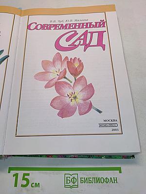 Современный сад