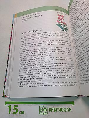 Современный сад