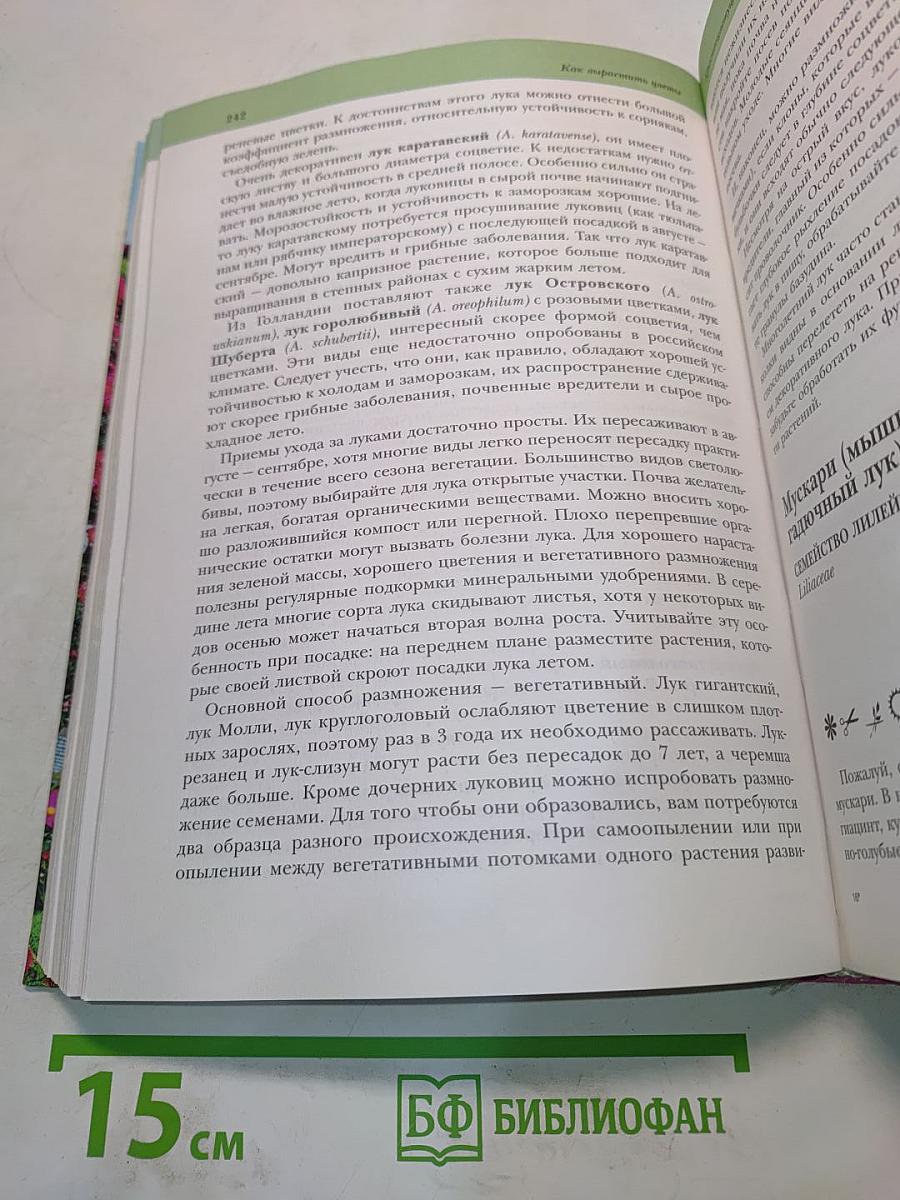 Современный сад
