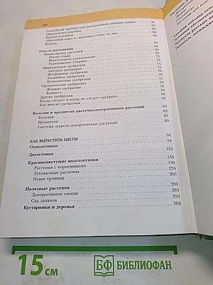 Современный сад