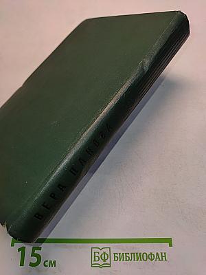 Кружеилиха. Спутники