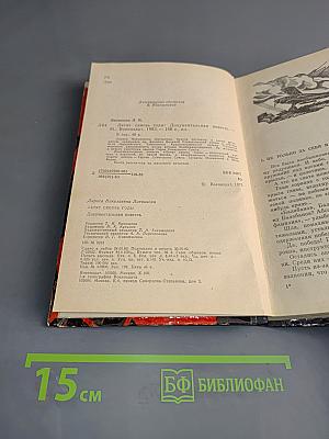Летят сквозь годы. Документальная повесть
