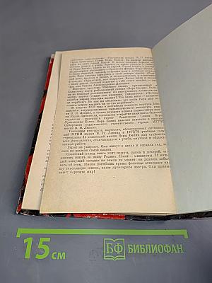 Летят сквозь годы. Документальная повесть