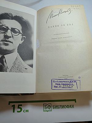 Михаил Кольцов, каким он был