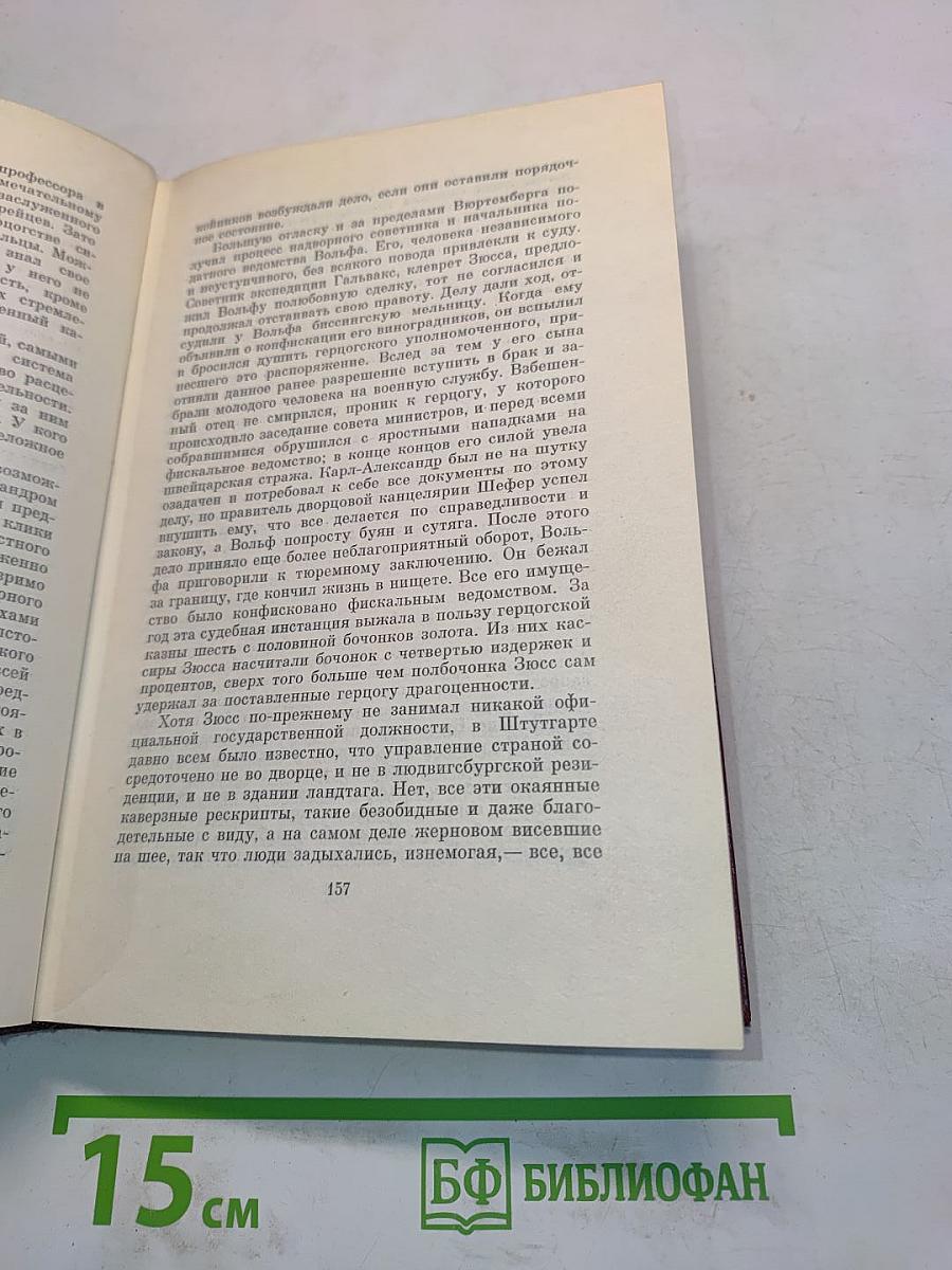 Еврей Зюсс. Собрание сочинений. Том второй